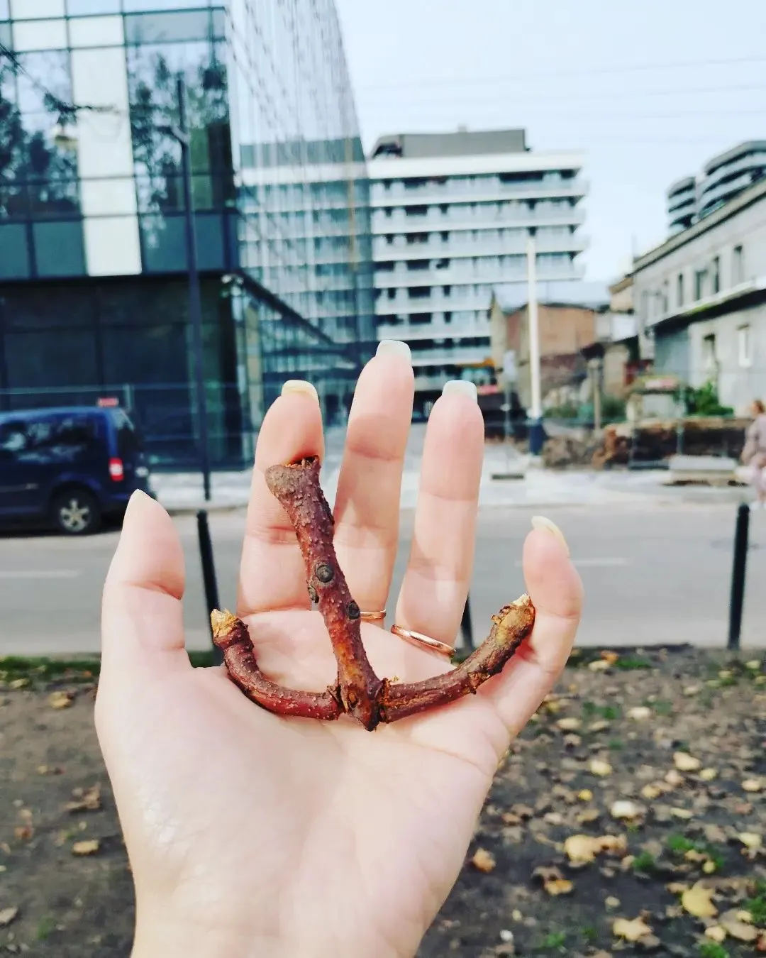 и во Львове все напоминает о Мариуполе и во Львове все напоминает о Мариуполе