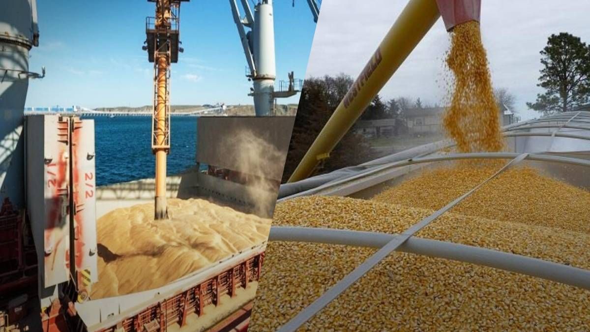 Черговий цинічний крок: Росія заявила, що блокує рух суден Чорноморським зерновим коридором - 24 Канал Черговий цинічний крок: Росія заявила, що блокує рух суден Чорноморським зерновим коридором - 24 Канал