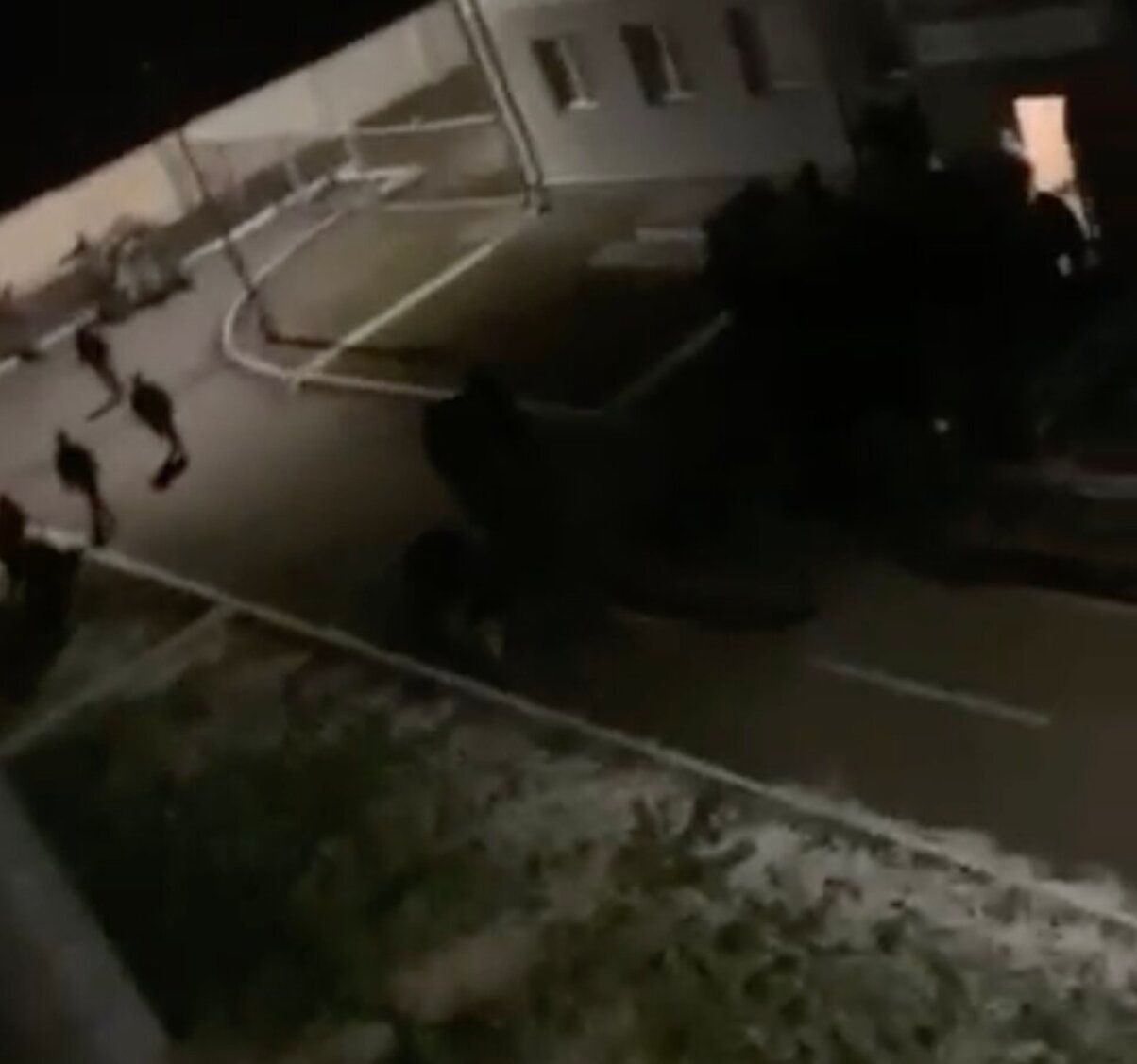 У Росії трапилася масштабна бійка між мобілізованими й контрактниками - відео У Росії трапилася масштабна бійка між мобілізованими й контрактниками - відео