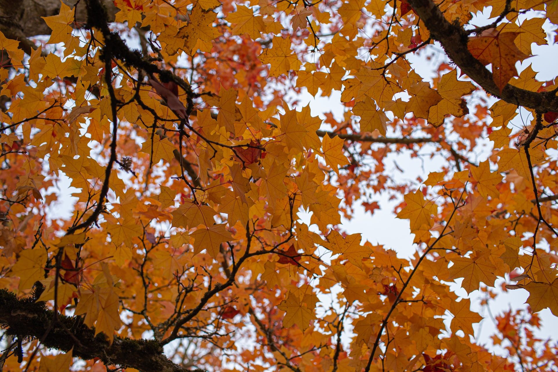 Погода в Украине 2 ноября Погода в Украине 2 ноября