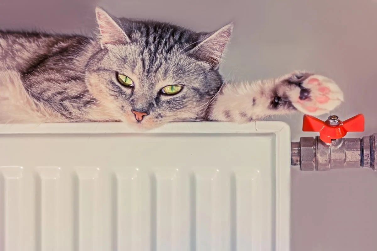 Отсутствует тепло - в Тернополе призвали подготовиться к отсутствию тепла Отсутствует тепло - в Тернополе призвали подготовиться к отсутствию тепла