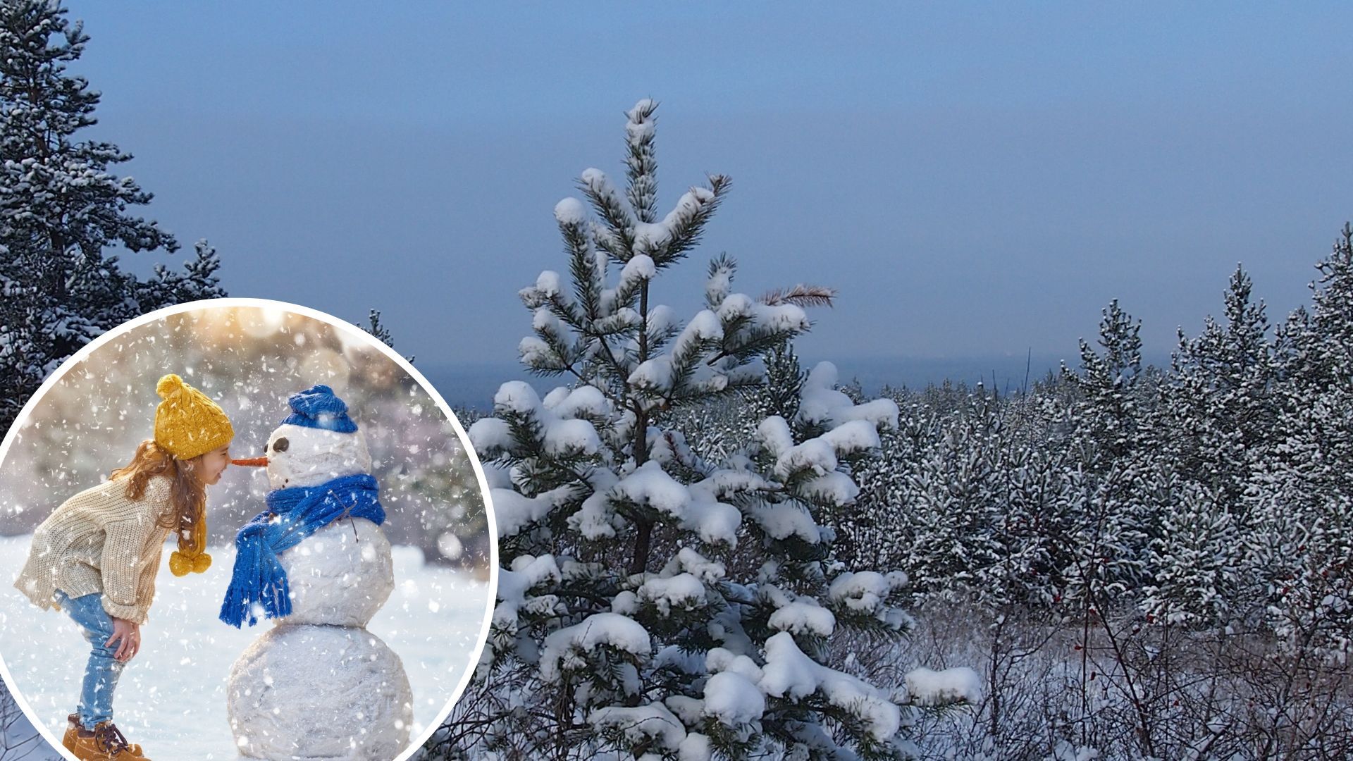 Погода в Україні зимою - сніг і морози обіцяють на початку грудня