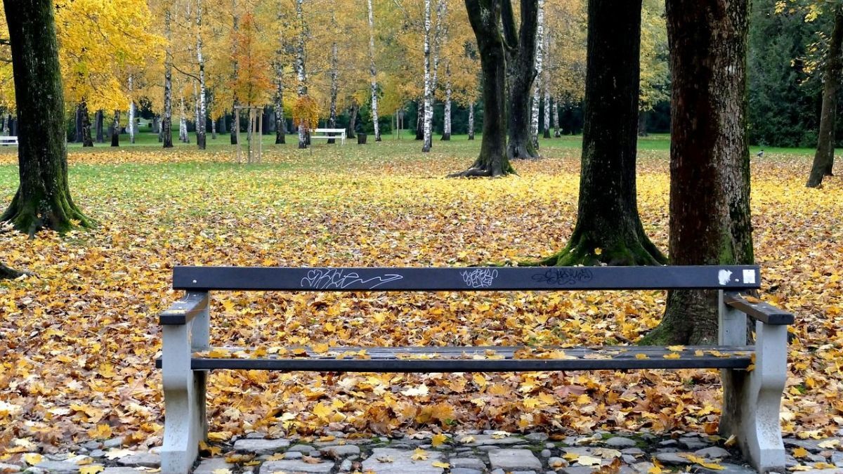 В Україні сухо, але туманно: прогноз погоди на 3 листопада - 24 Канал В Україні сухо, але туманно: прогноз погоди на 3 листопада - 24 Канал