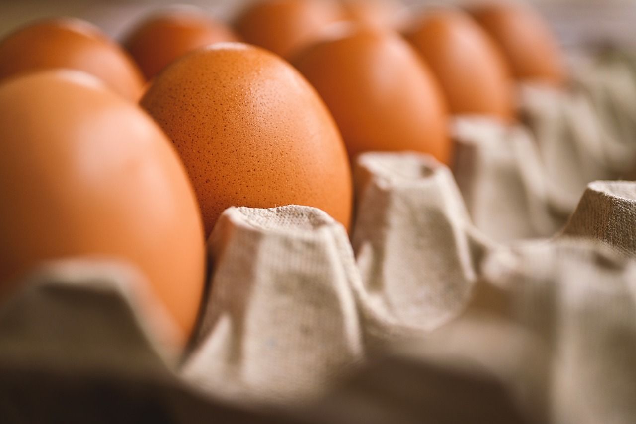 Ціна яйєць - Мінагро домилось з виробниками не збільшувати ціну на яйця