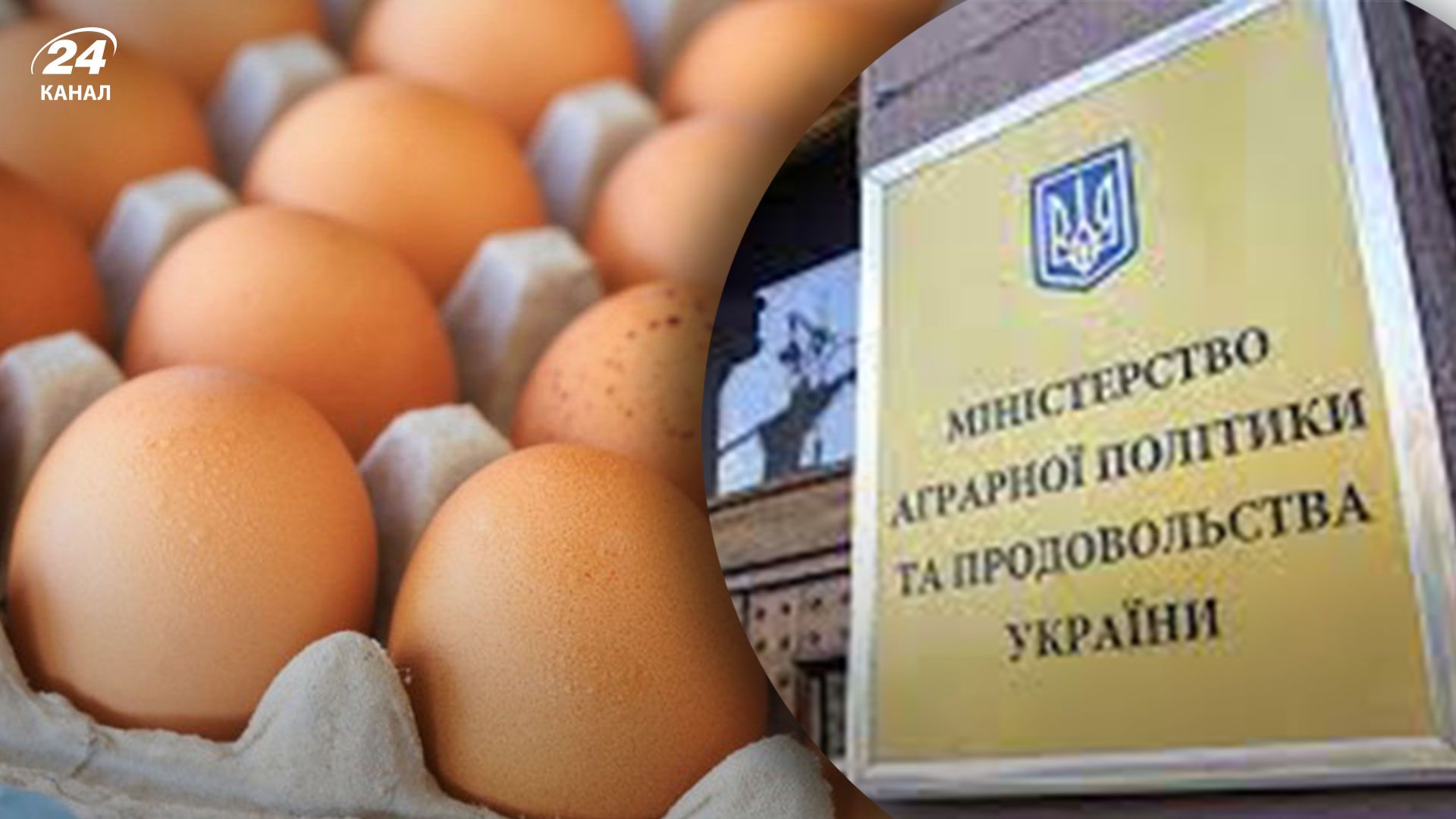 Минагрополитики в сотрудничестве с производителями пытается способствовать стабилизации цен на куриные яйца