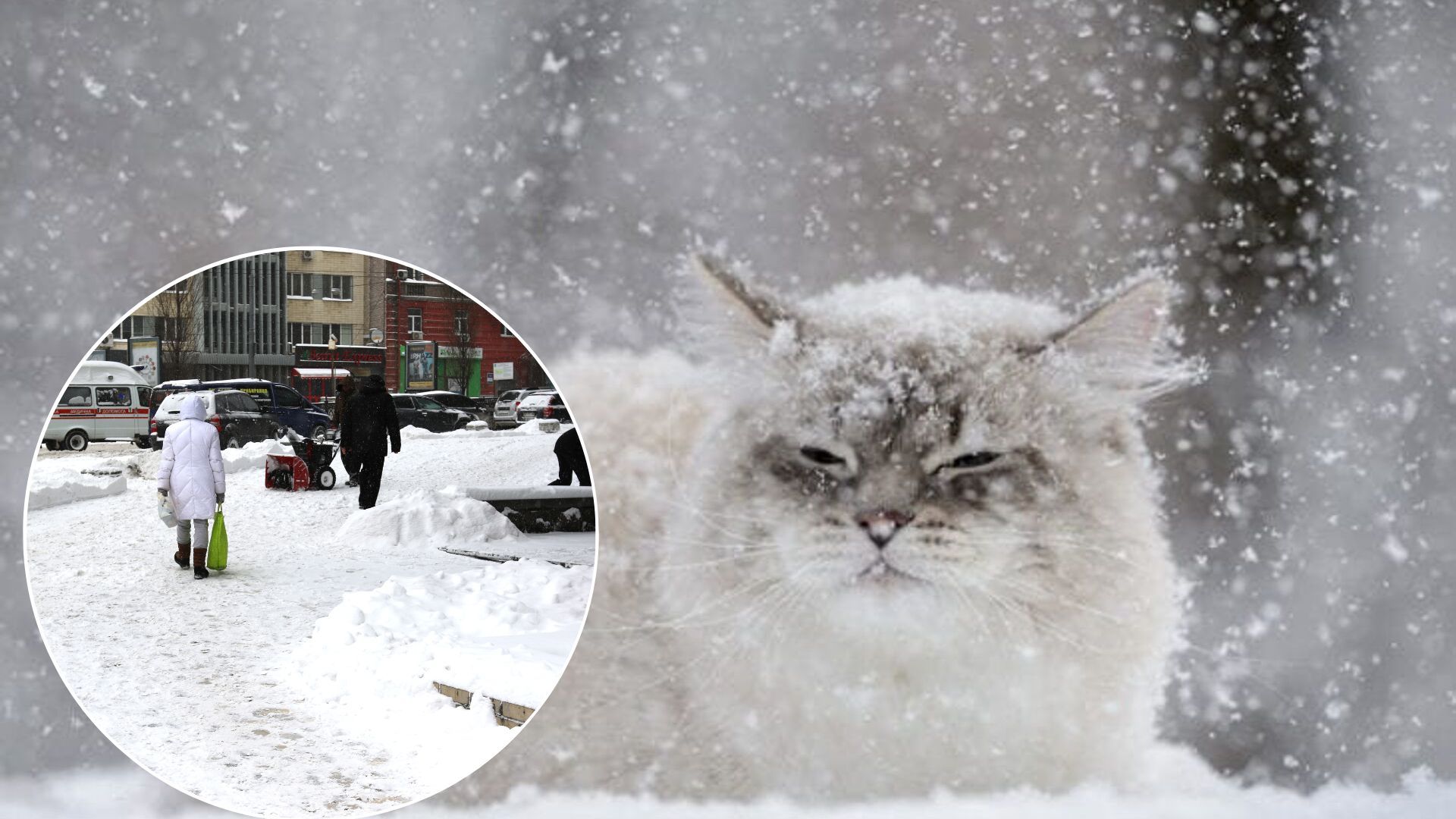 Погода в Украине - народный синоптик предупредил о вьюге в ноябре Погода в Украине - народный синоптик предупредил о вьюге в ноябре