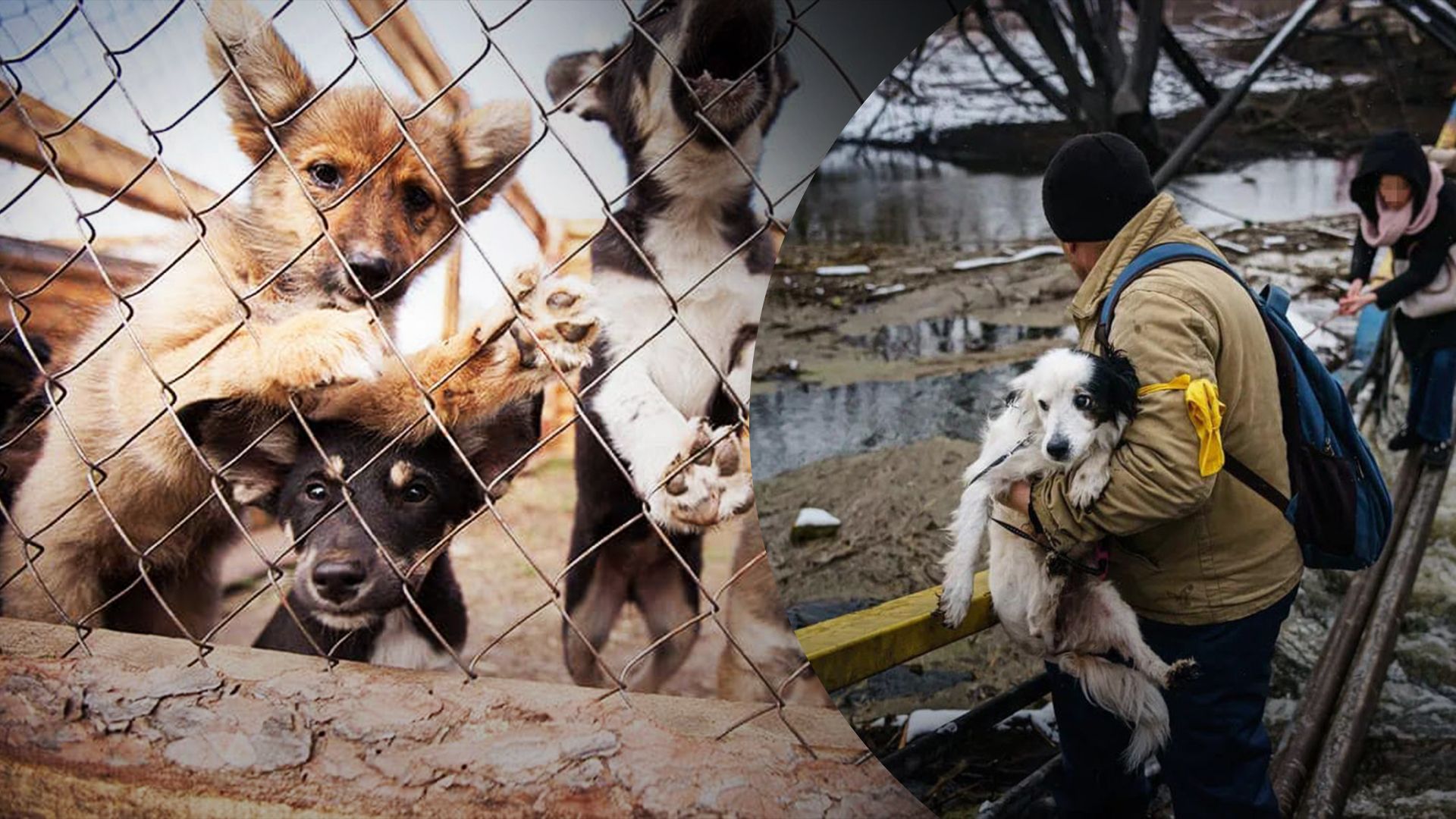 Українці закликають покарати Росію за екологічні злочини – як це зробити Українці закликають покарати Росію за екологічні злочини – як це зробити