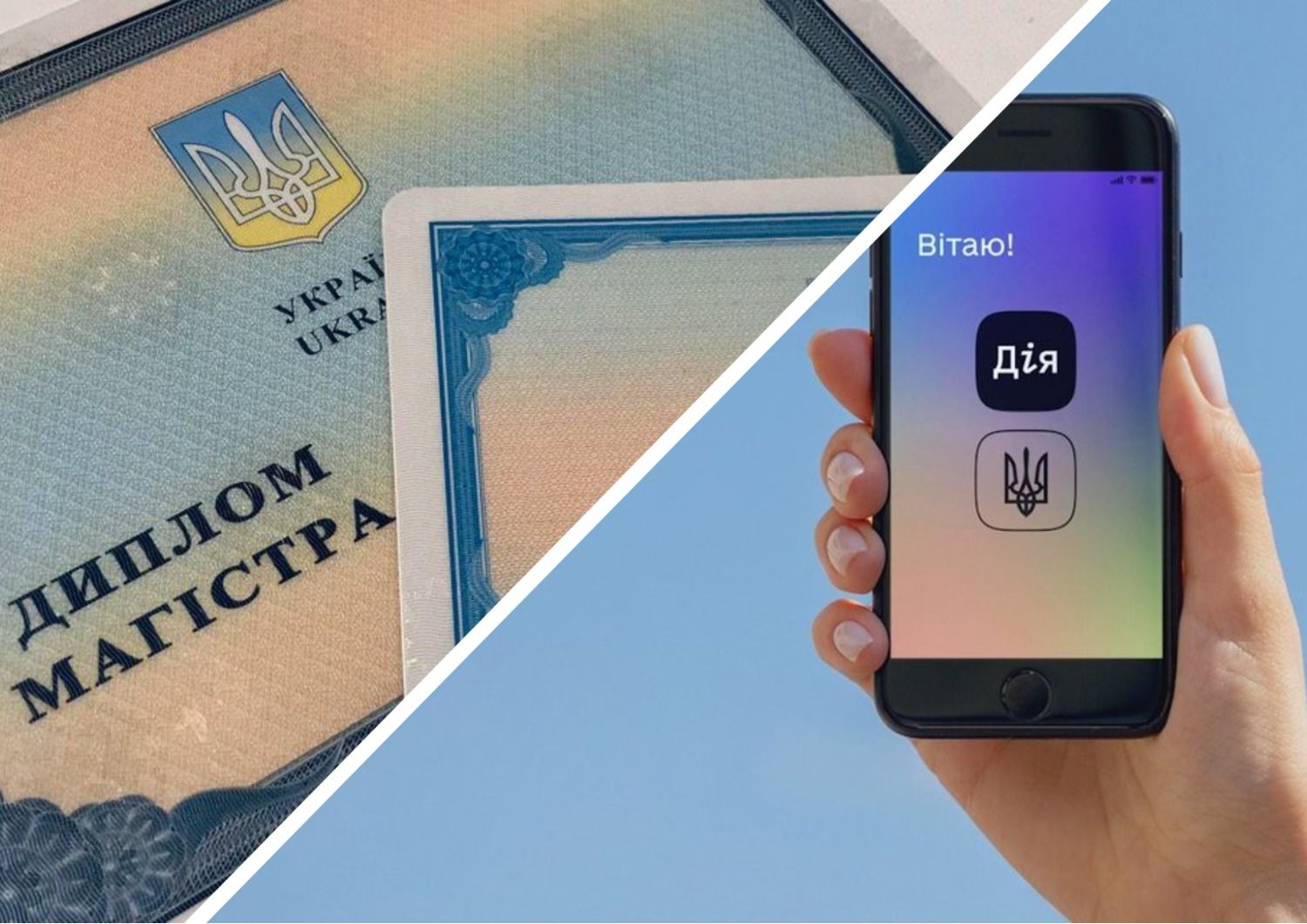 Документы об образовании теперь будут в Действии - 24 канал - Образование Документы об образовании теперь будут в Действии - 24 канал - Образование