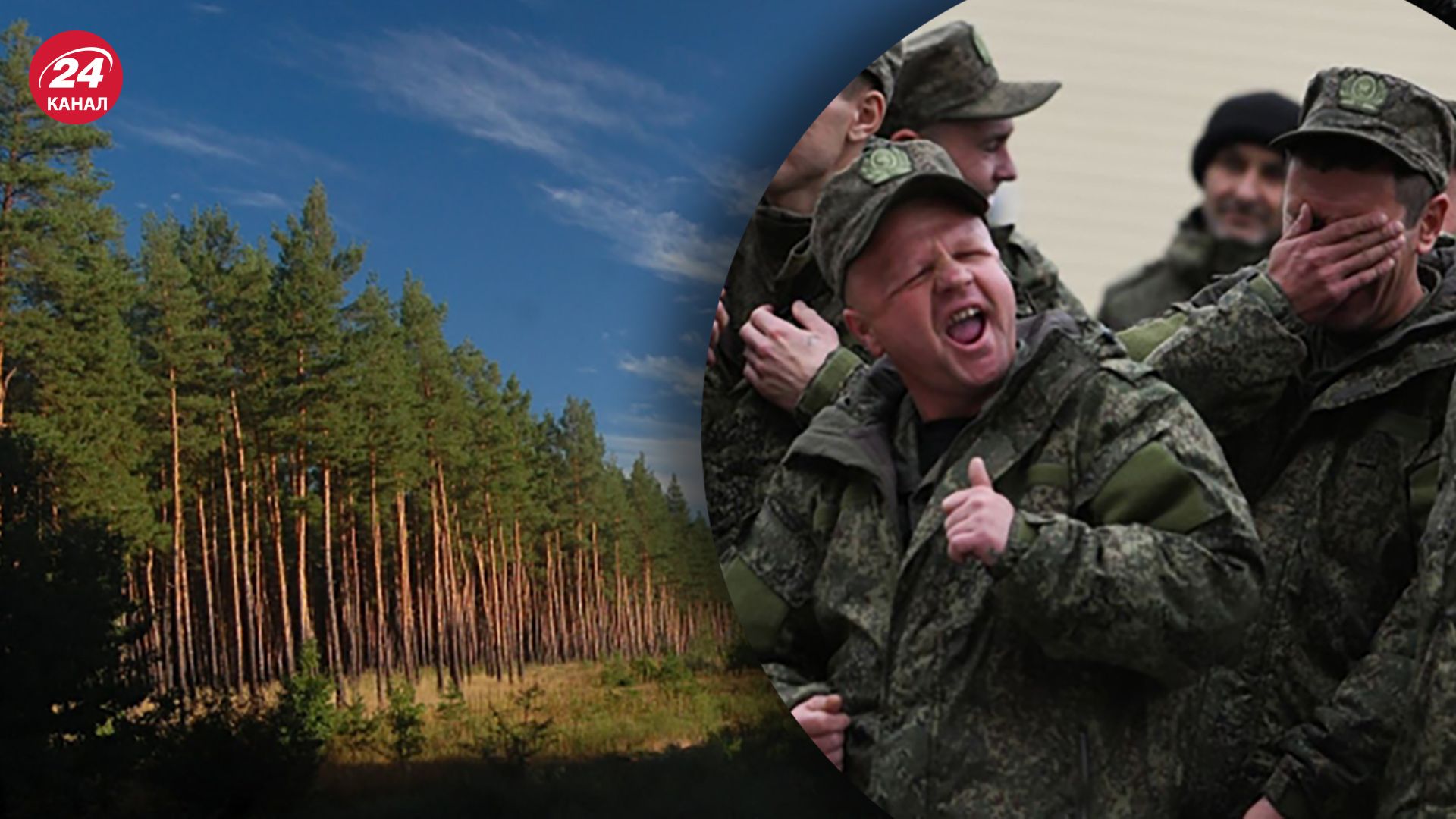 Российские мобики скрываются в лесах в Луганской области.