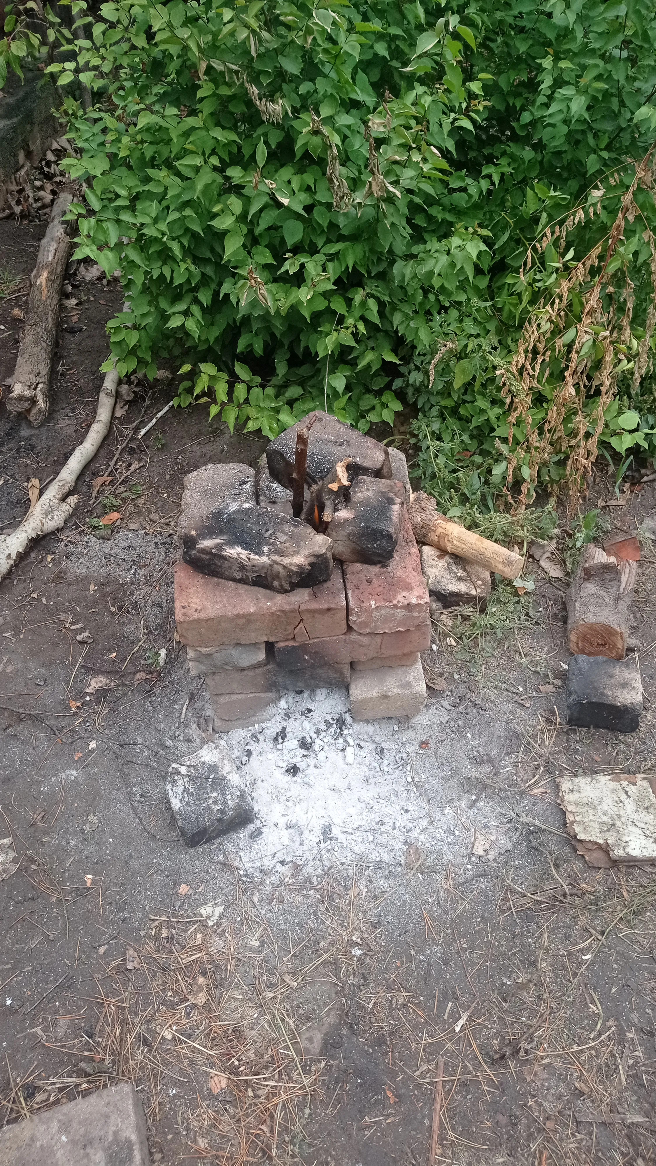 Еду пришлось готовить на костре Еду пришлось готовить на костре