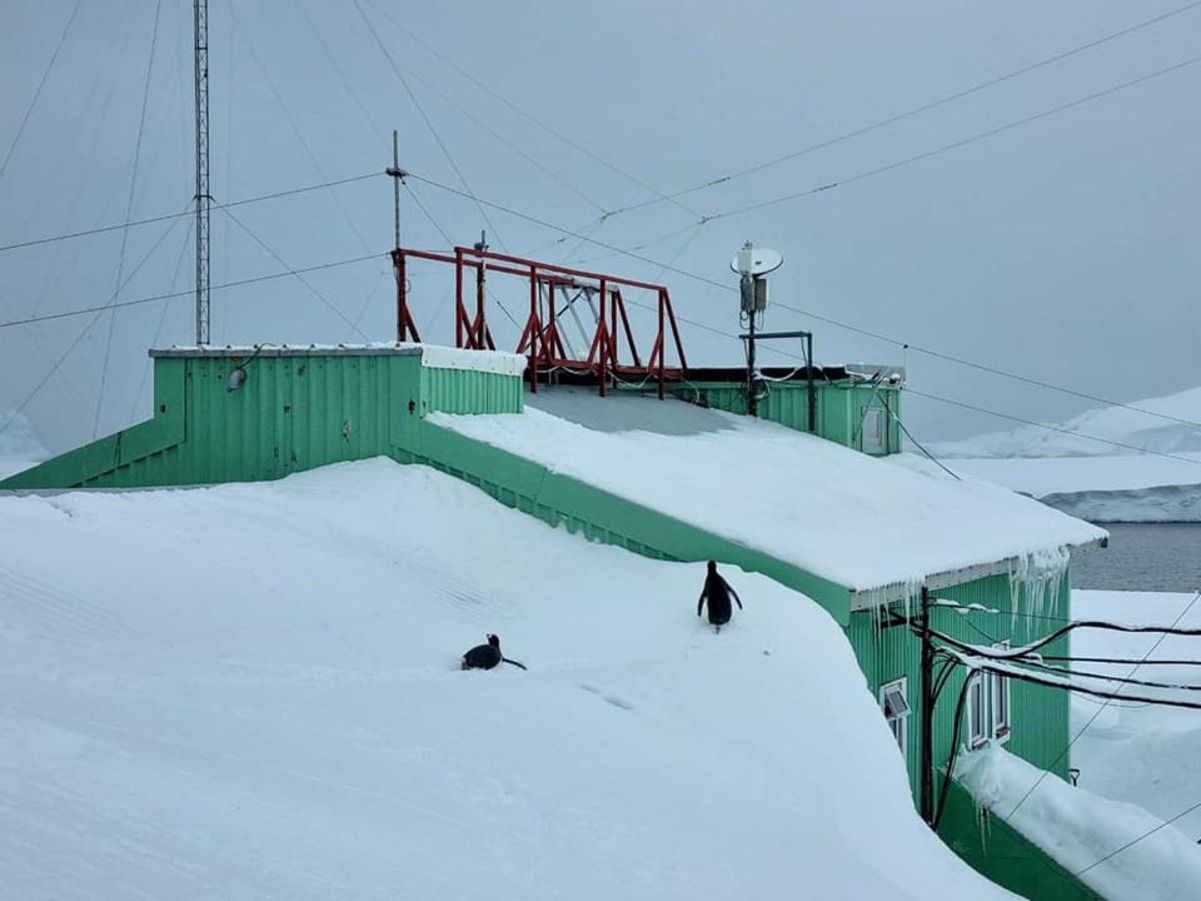 Академік Вернадський - на станції зафіксували рекордний сніг