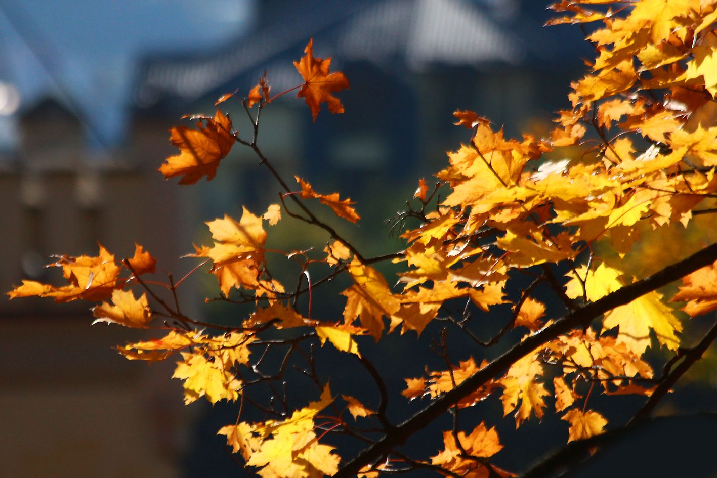 Погода в Украине в ноябре прогреется до +18 градусов – где будет аномально тепло Погода в Украине в ноябре прогреется до +18 градусов – где будет аномально тепло