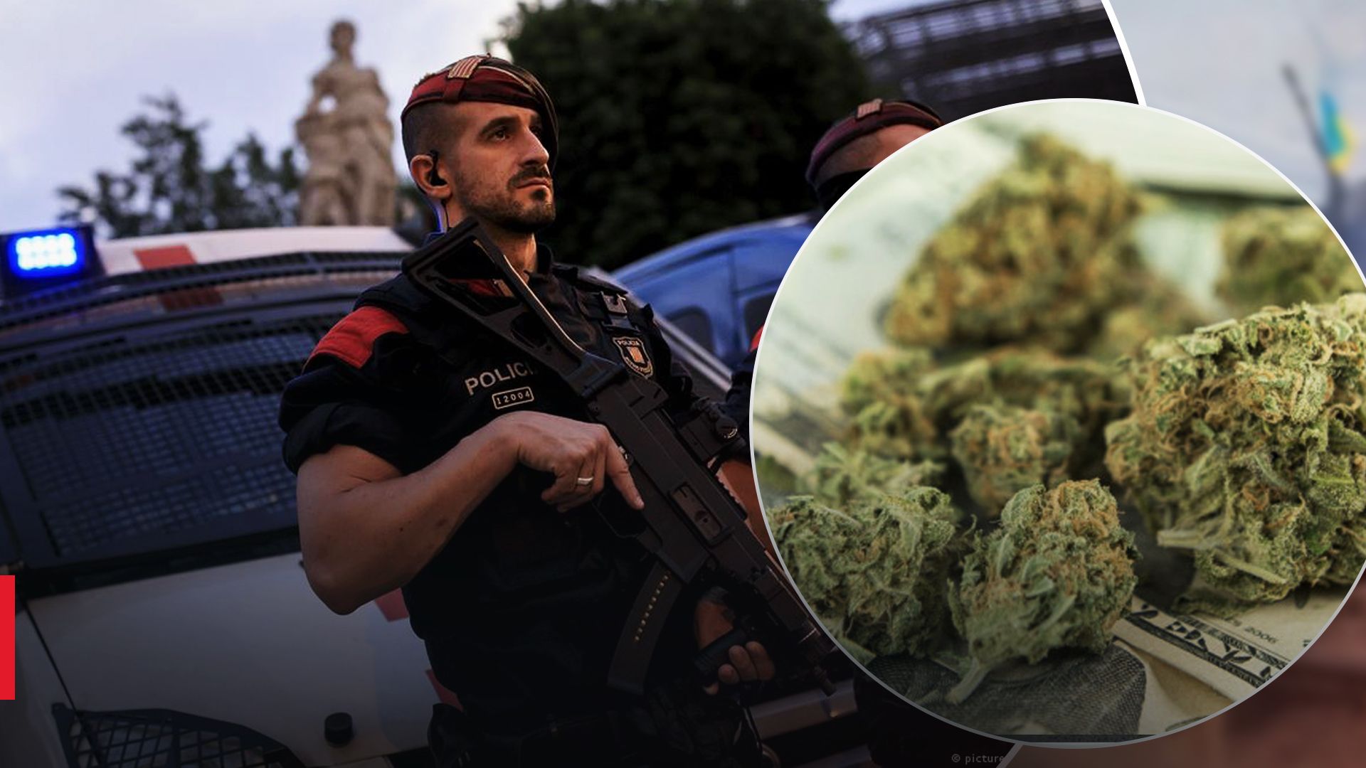 В Іспанії вилучили найбільшу контрабанду марихуани