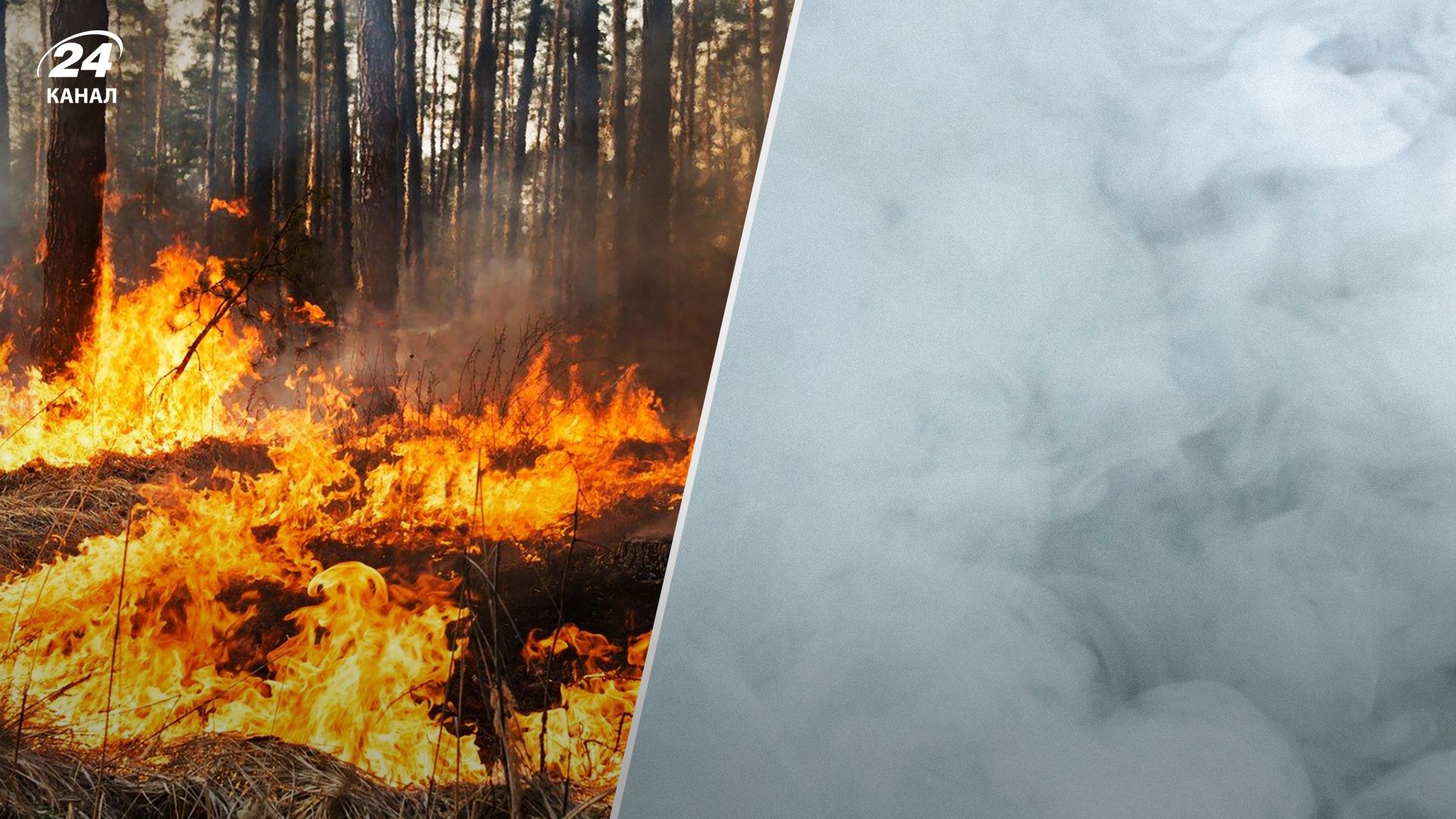 У ЗСУ заявили про екоцид - моторошна статистика руйнувань та збитків У ЗСУ заявили про екоцид - моторошна статистика руйнувань та збитків