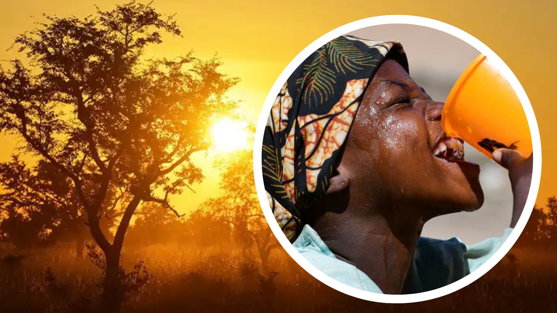 В мире растет температура В мире растет температура