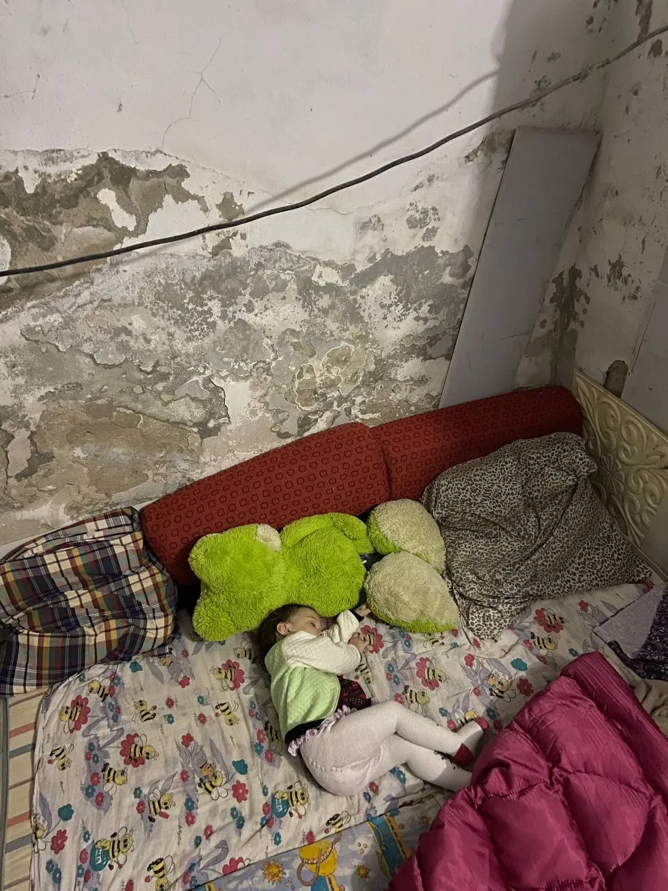 Семье пришлось обустроить спальные места в подвале Семье пришлось обустроить спальные места в подвале