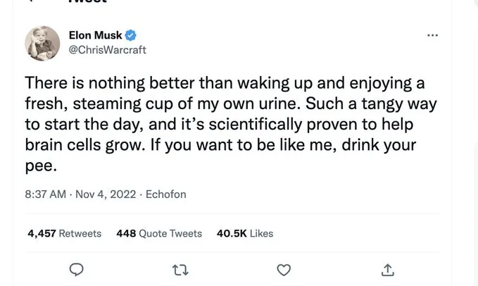 Фейковый Илон Маск Фейковый Илон Маск