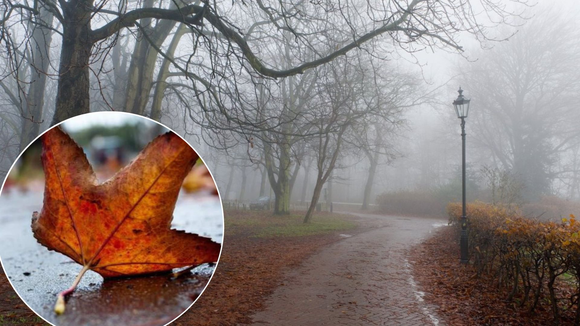 Погоду в Україні визначатиме антициклон - синоптик розповів, як зміниться погода Погоду в Україні визначатиме антициклон - синоптик розповів, як зміниться погода