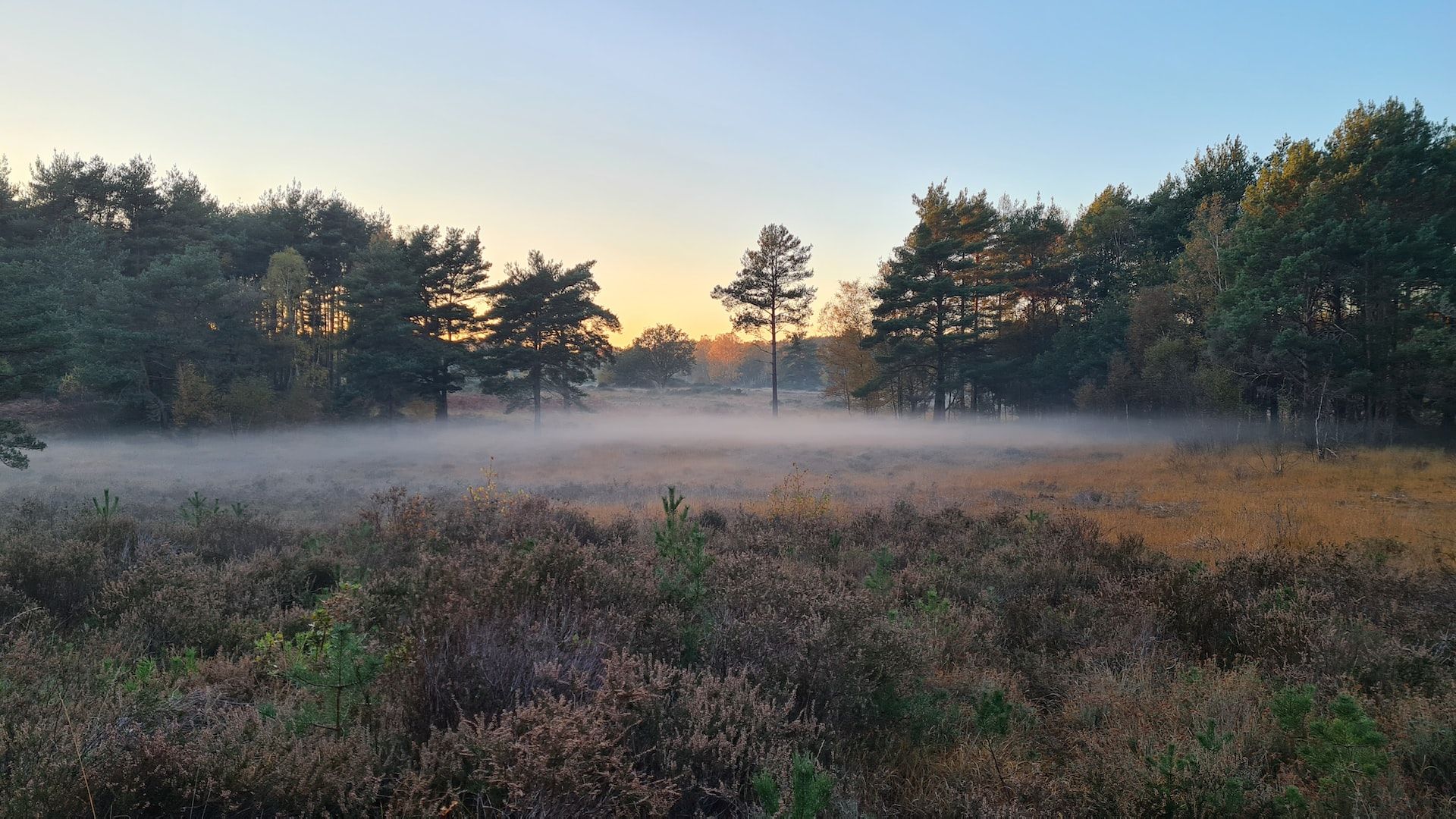 Погода на завтра Погода на завтра