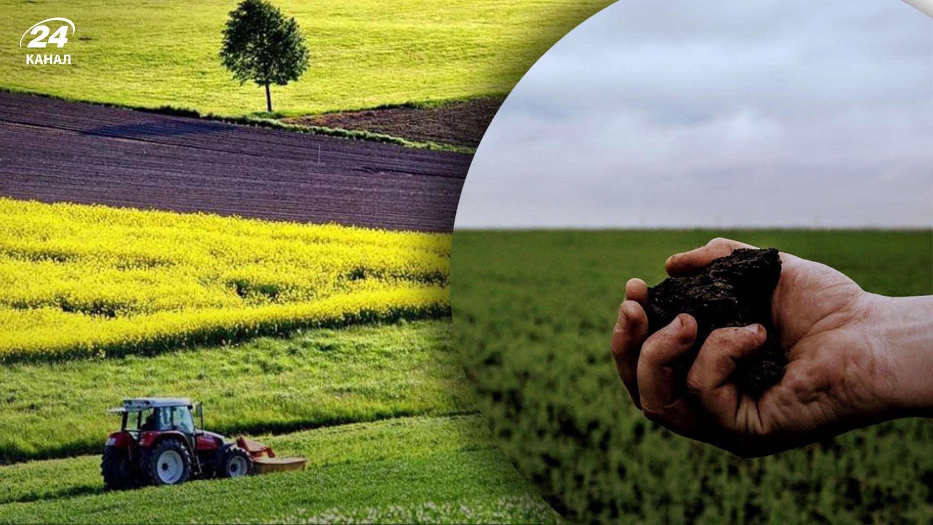 Как изменился рынок земли за время полномасштабного вторжения России Как изменился рынок земли за время полномасштабного вторжения России