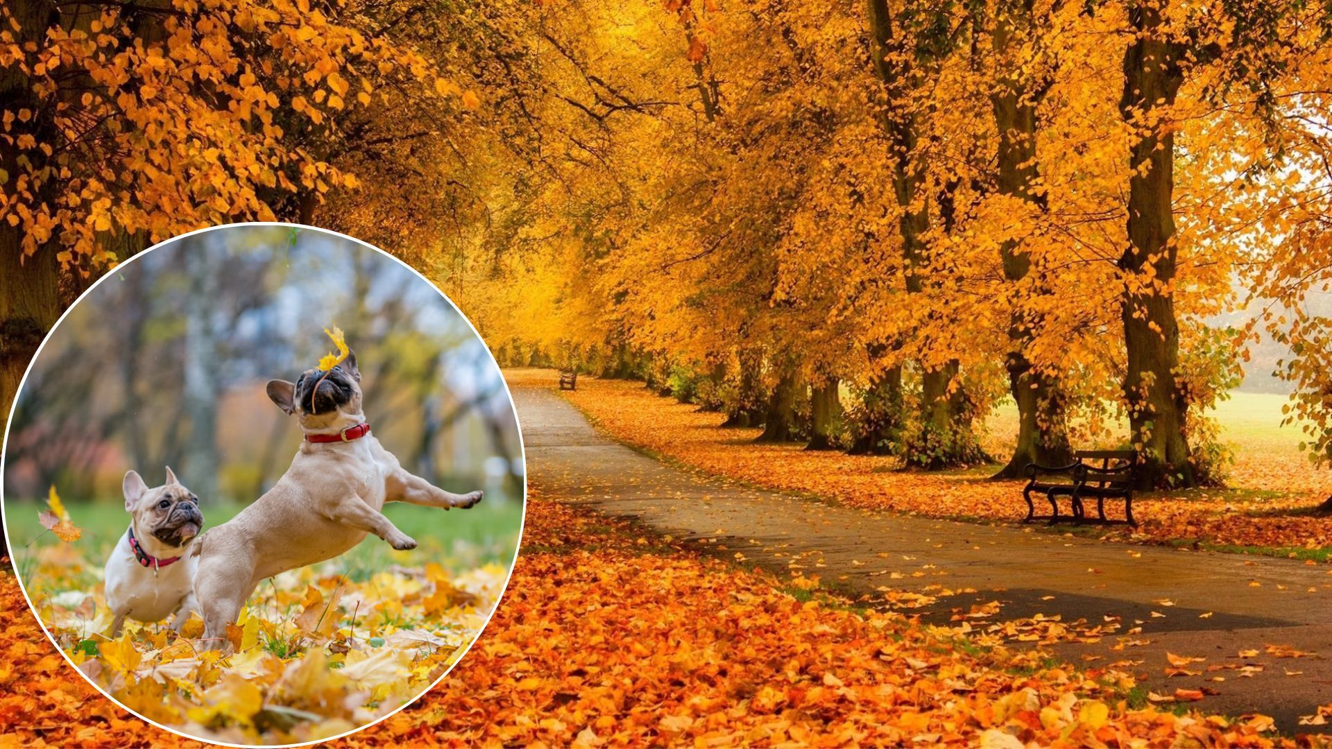 Погода в Україні - коли будуть останні теплі дні в листопаді-2022 Погода в Україні - коли будуть останні теплі дні в листопаді-2022