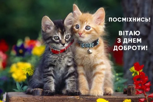 Всемирный день доброты - картинки Всемирный день доброты - картинки