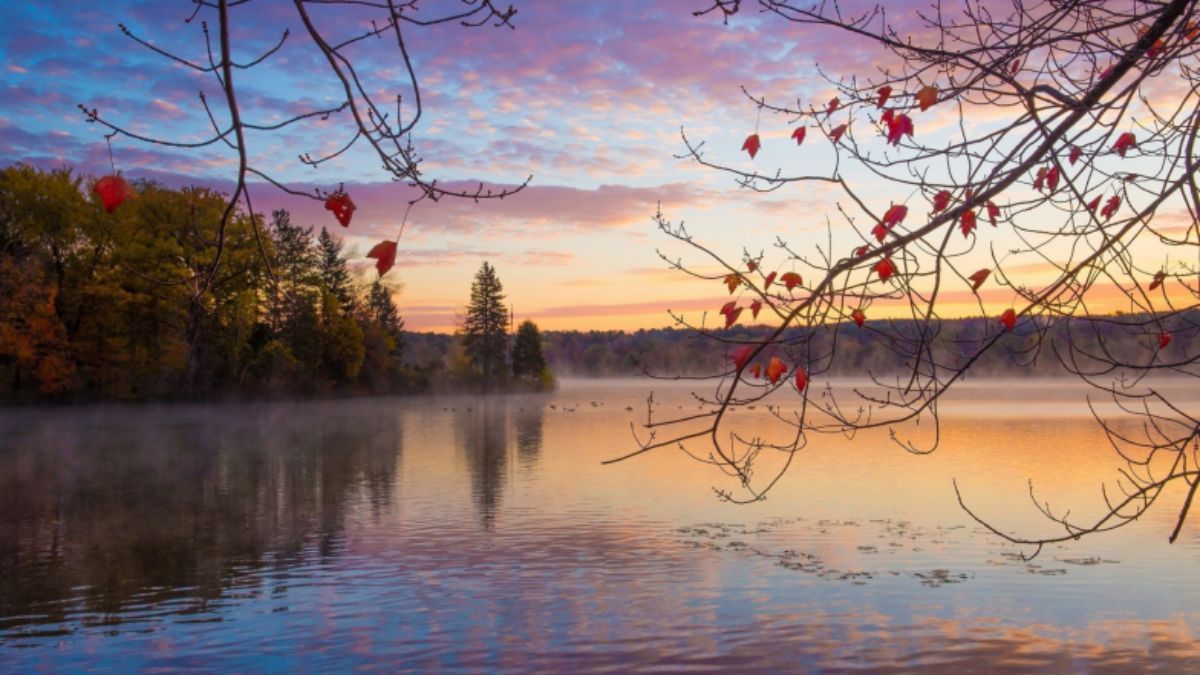 Погода в Украине 12 ноября 2022 года - прогноз синоптиков Погода в Украине 12 ноября 2022 года - прогноз синоптиков