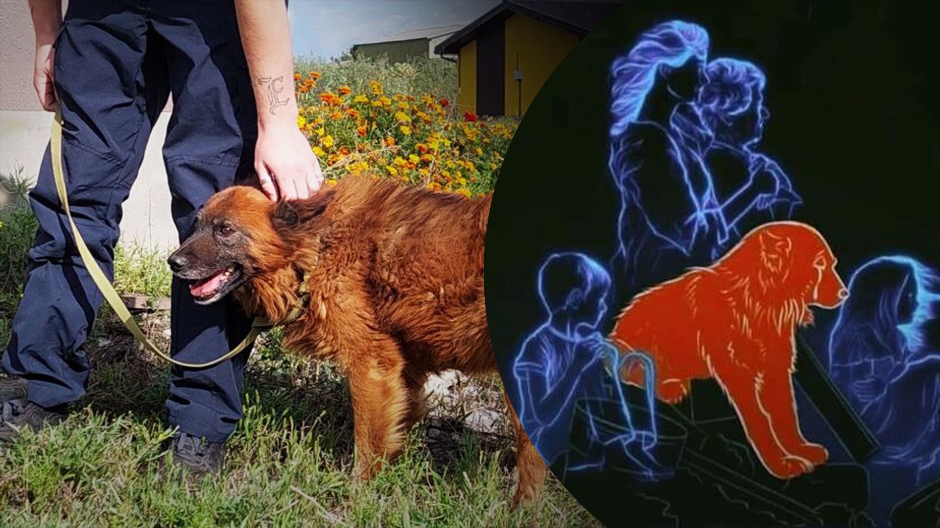 Помер пес Крим Помер пес Крим