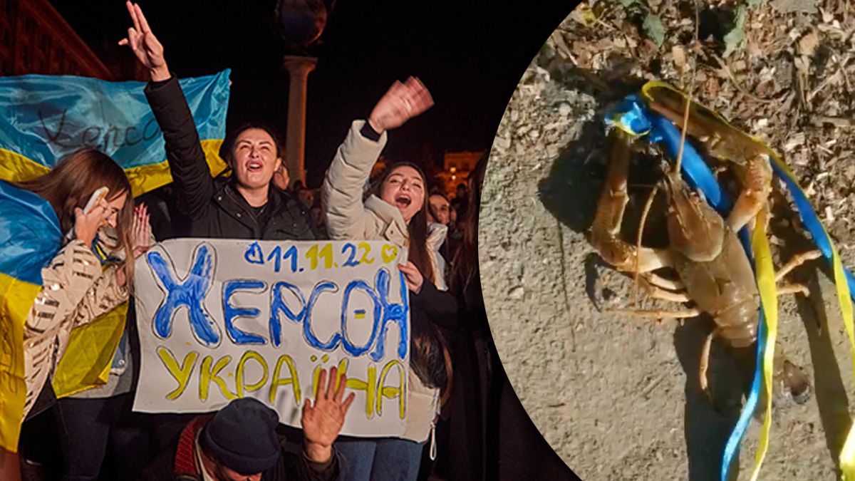 Рак з українською стрічкою піся звільнення Херсона Рак з українською стрічкою піся звільнення Херсона