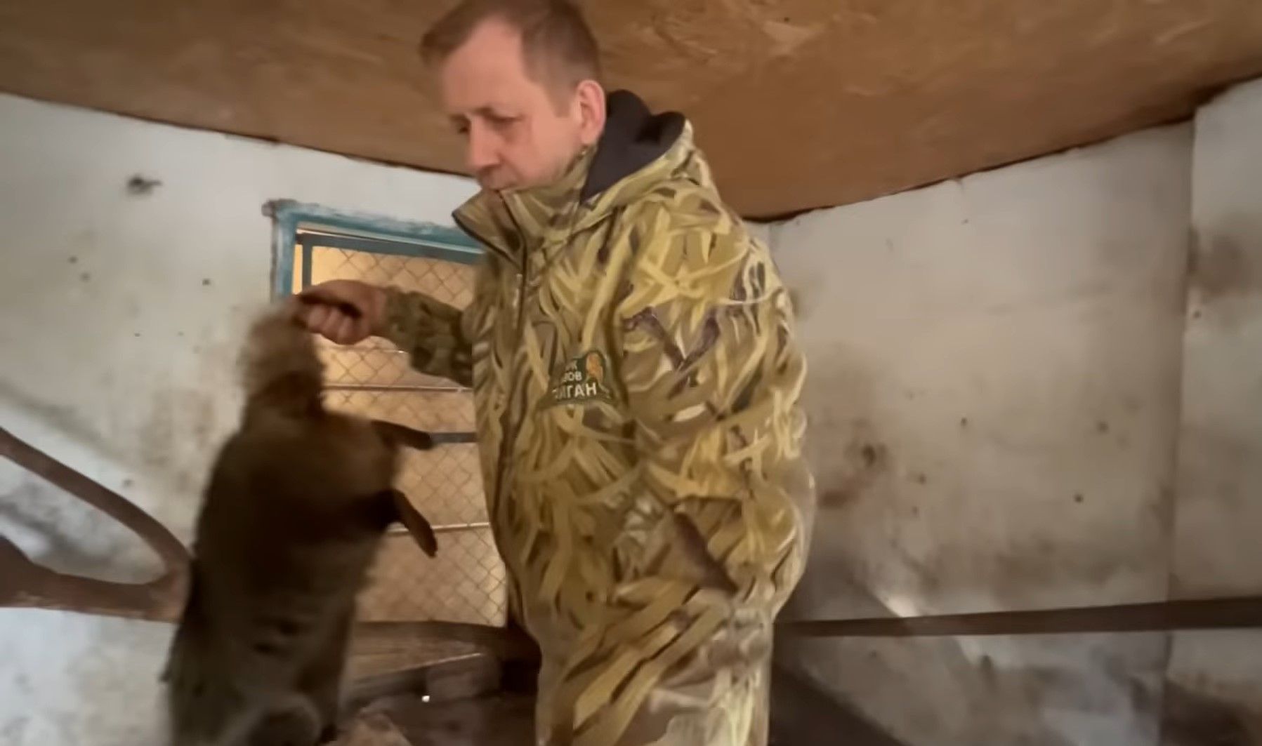 Єнота з Херсона викрадав скандальний директор кримського зоопарку