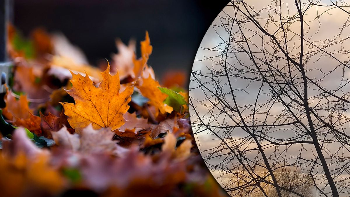 Прогноз погоды на вторник Прогноз погоды на вторник