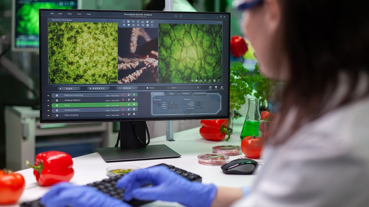 Ученые представили искусственный фотосинтез, который на выходе дает этанол или метан - Техно Ученые представили искусственный фотосинтез, который на выходе дает этанол или метан - Техно