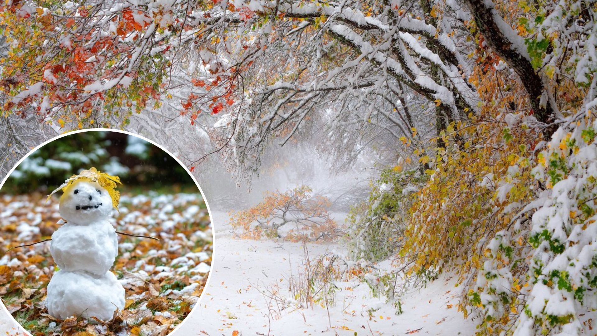 Перший сніг випаде в Україні 17 листопада 2022 - в яких областях - погода в Україні Перший сніг випаде в Україні 17 листопада 2022 - в яких областях - погода в Україні