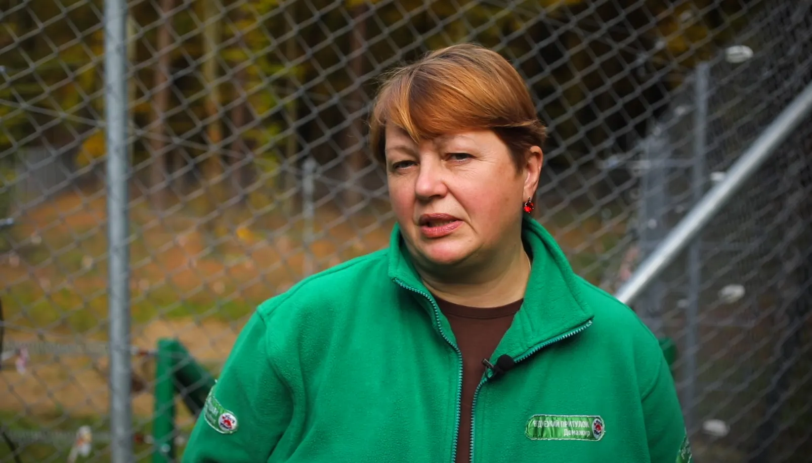 Заместитель директора медвежьего приюта Заместитель директора медвежьего приюта