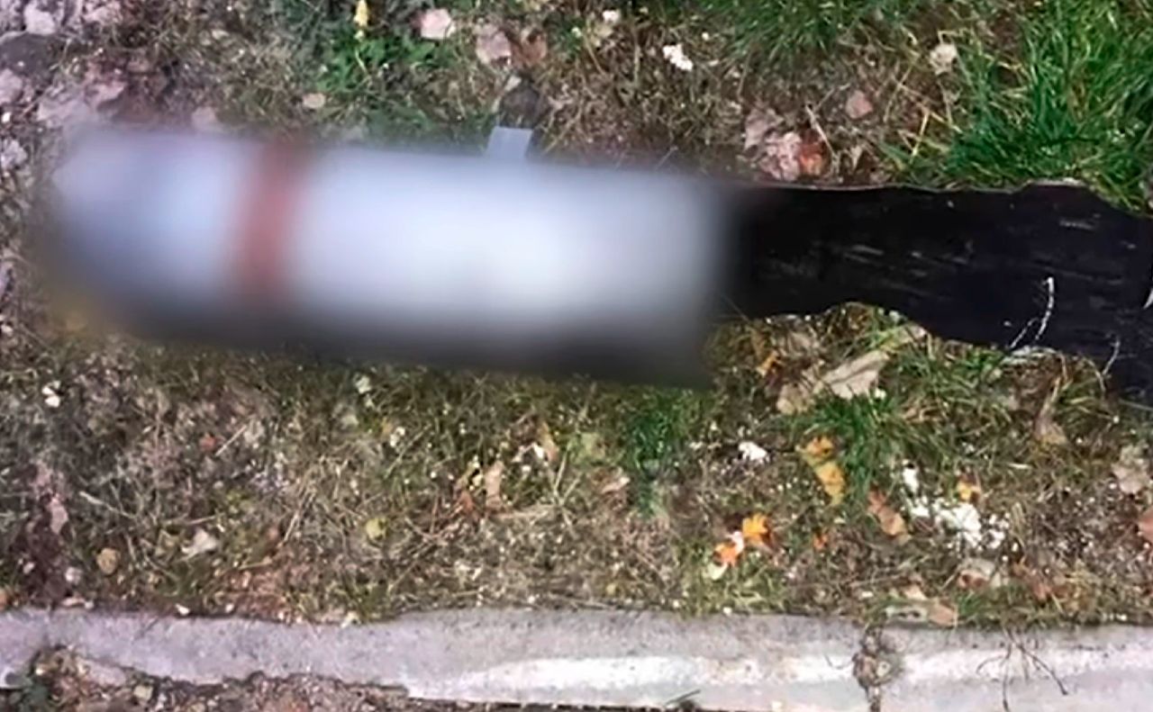 Навчання на Київщині - діти знайшли збиту ракету і несли її до школи - 24 канал - Освіта