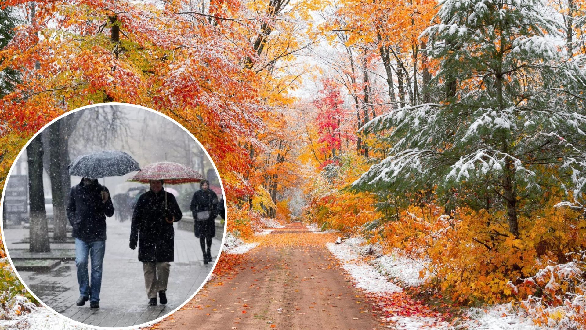 Погода в Україні - чи буде ще потепління після снігу в листопаді