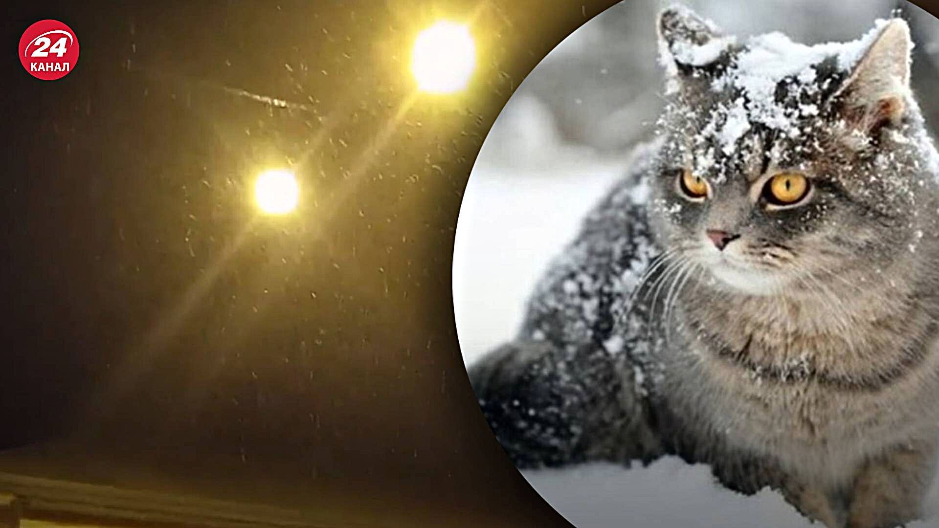 Перший сніг випав у Києві 16 листопада - фото і відео зі столиці Перший сніг випав у Києві 16 листопада - фото і відео зі столиці