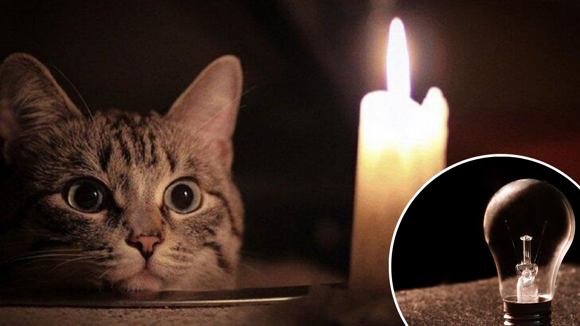 В Украине 18 ноября ввели почасовые отключения света повсюду В Украине 18 ноября ввели почасовые отключения света повсюду