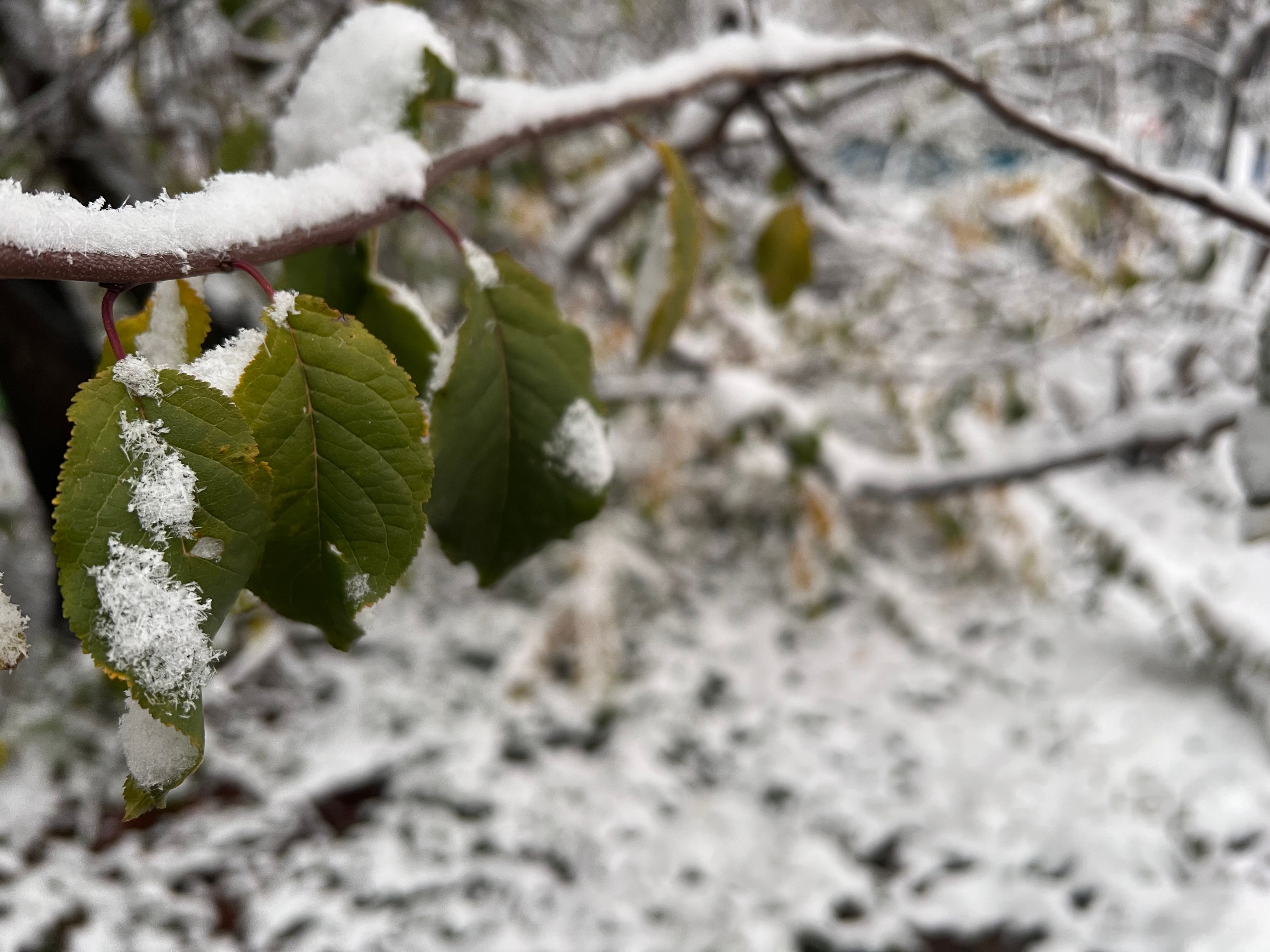 Погода в Украине – синоптик предупредил, что снега выпадет больше, чем зимой Погода в Украине – синоптик предупредил, что снега выпадет больше, чем зимой