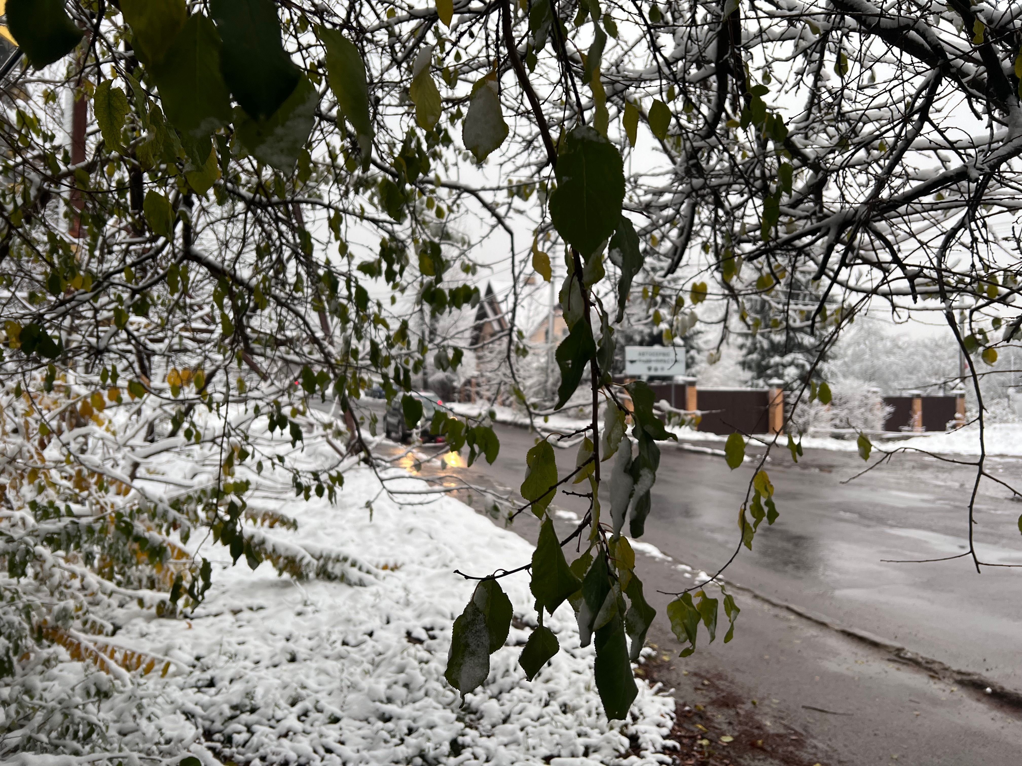 Погода в Украине - как долго задержатся снега и морозы Погода в Украине - как долго задержатся снега и морозы