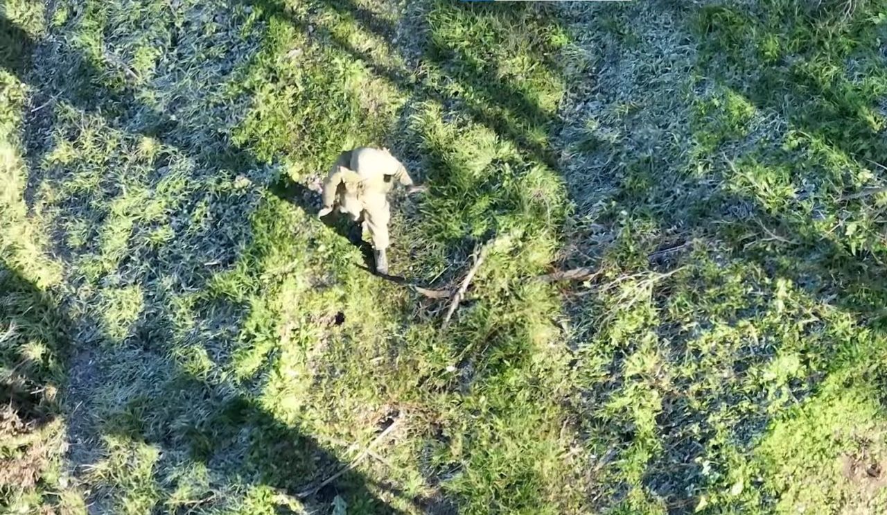 ПВК Вагнера воюет против Украины - дрон сдал завербованного заключенного в плен: видео ПВК Вагнера воюет против Украины - дрон сдал завербованного заключенного в плен: видео