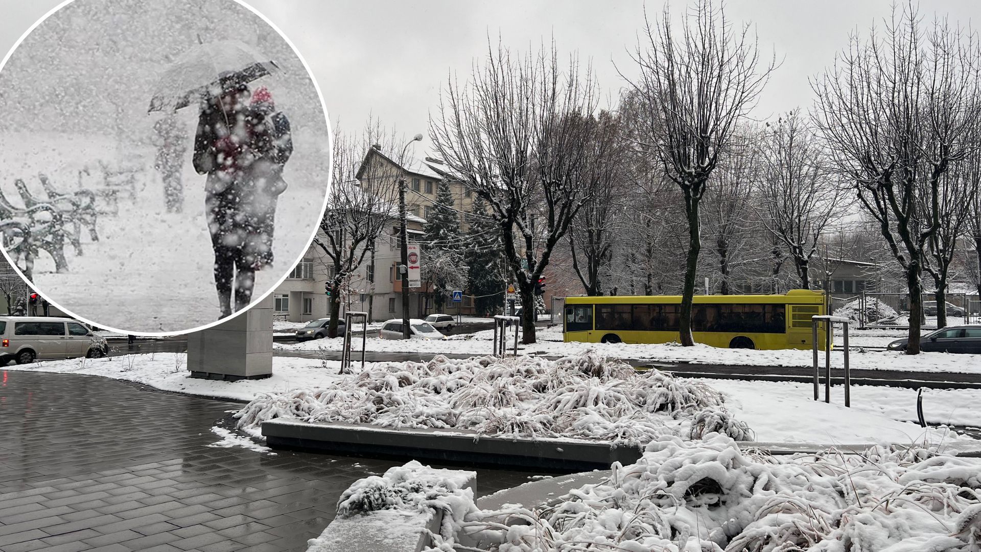 Погода в Украине будет поражать контрастами - метели, грозы и +20 градусов Погода в Украине будет поражать контрастами - метели, грозы и +20 градусов