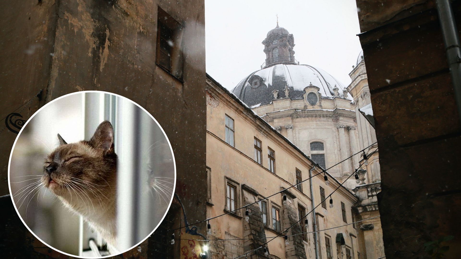 Погода в Украине – в декабре синоптики обещают потепление до +10 градусов Погода в Украине – в декабре синоптики обещают потепление до +10 градусов