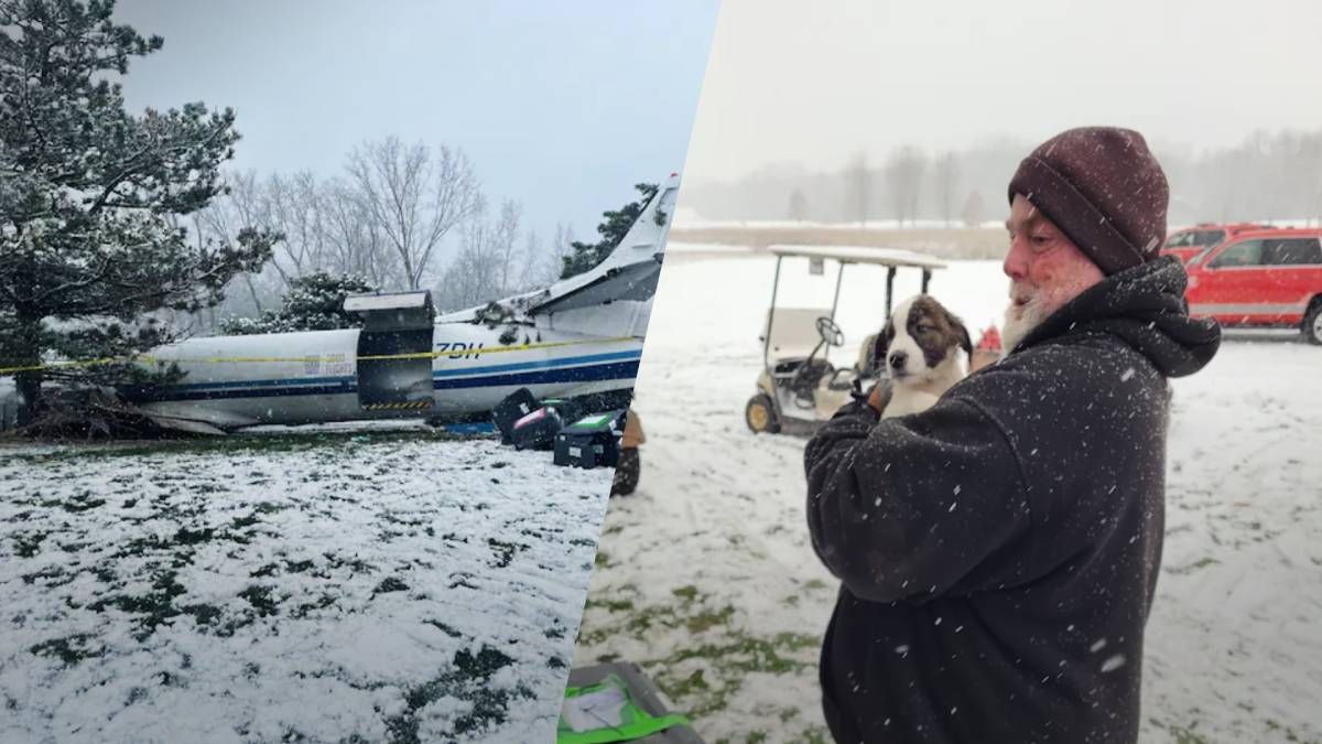 Впав літак із 53 собаками на борту
