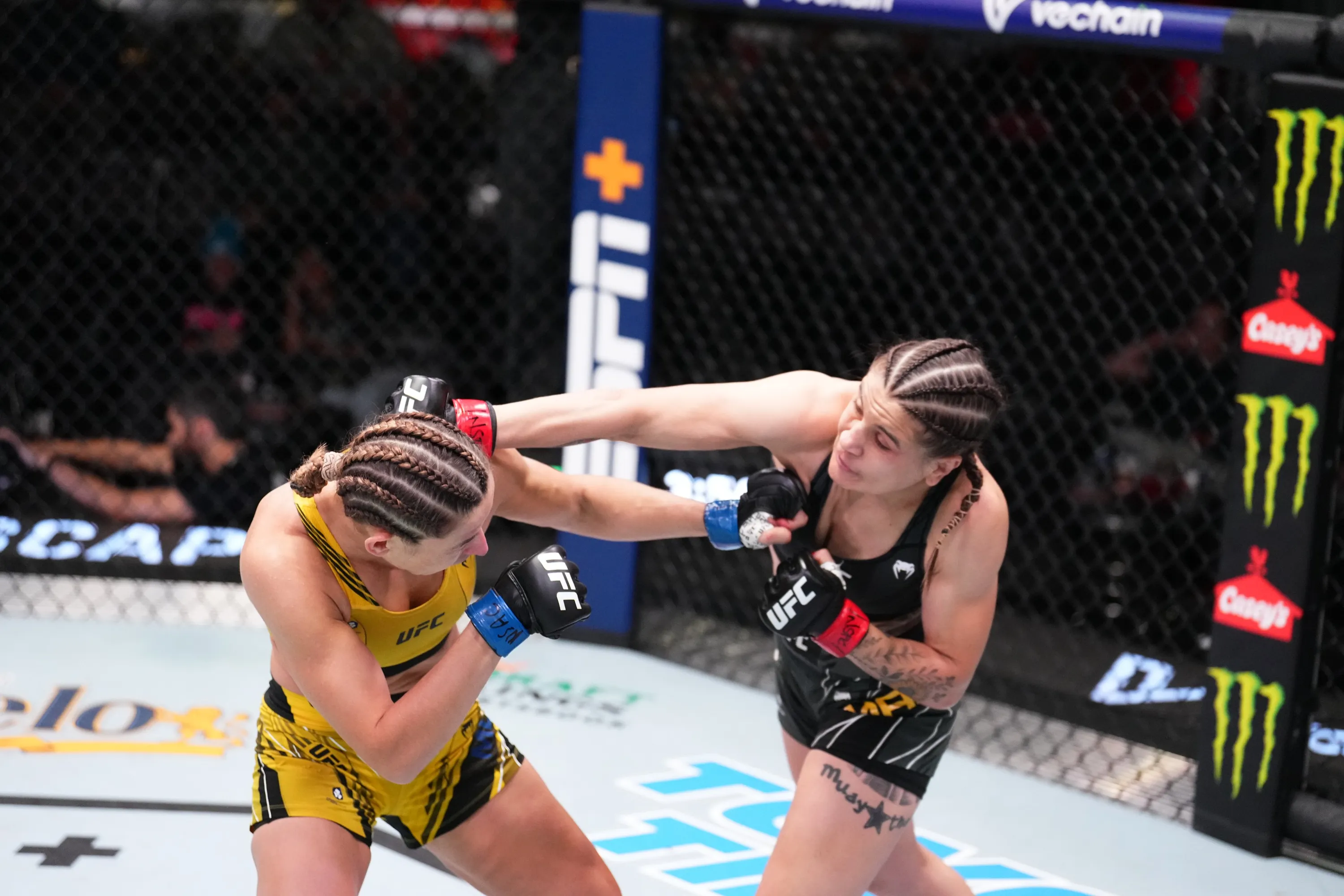 Мороз – Майя: результат бою