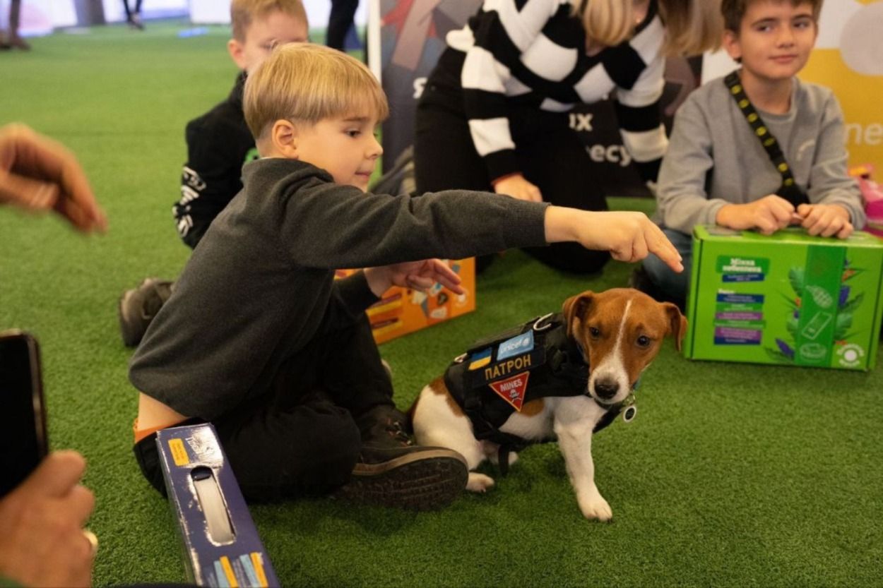 Пес Патрон получил титул Пса доброй воли от ЮНИСЕФ - что это значит - 24 Канал Пес Патрон получил титул Пса доброй воли от ЮНИСЕФ - что это значит - 24 Канал