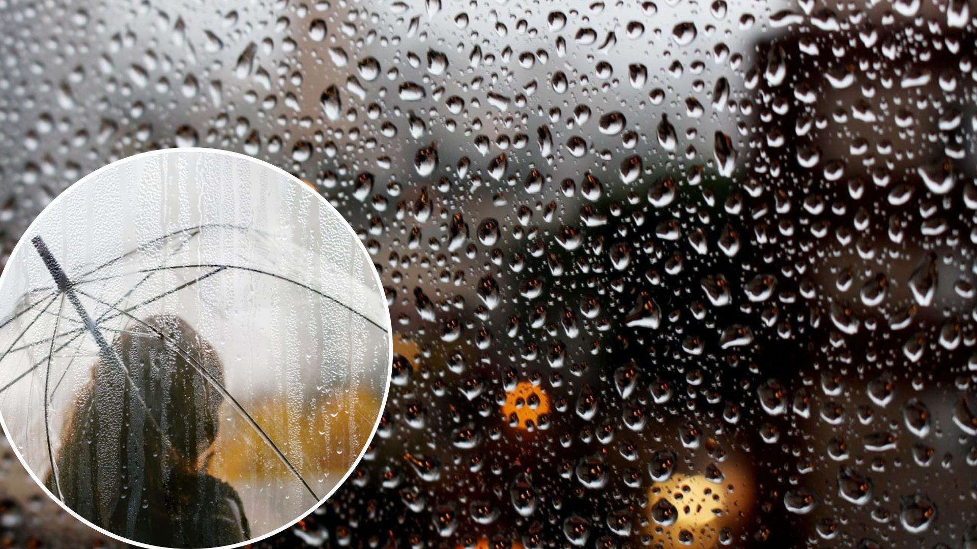 Прогноз погоды в Украине на вторник, 22 ноября 2022 - что говорят синоптики Прогноз погоды в Украине на вторник, 22 ноября 2022 - что говорят синоптики