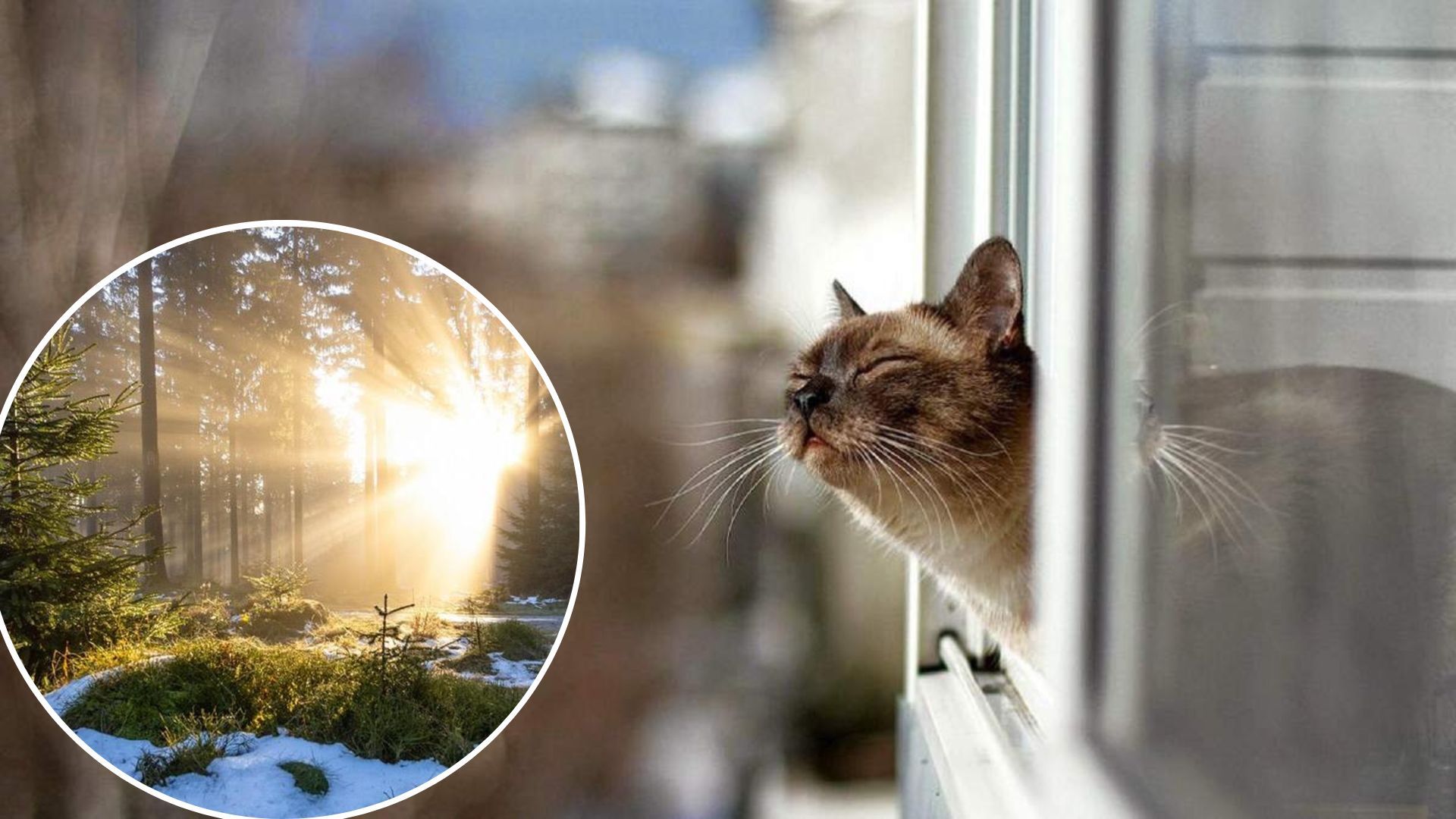 Погода в Україні різко потеліє - синоптикиня заявила про весну посеред листопада Погода в Україні різко потеліє - синоптикиня заявила про весну посеред листопада