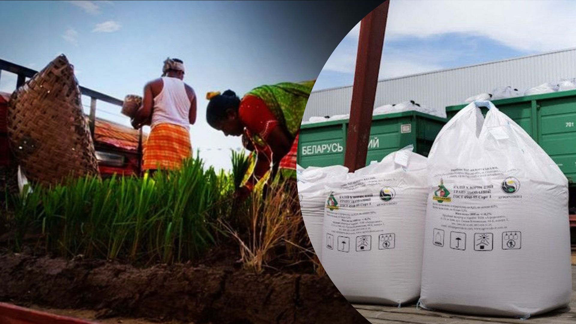 Росія збільшила експорт мінеральних добрив до Індії Росія збільшила експорт мінеральних добрив до Індії