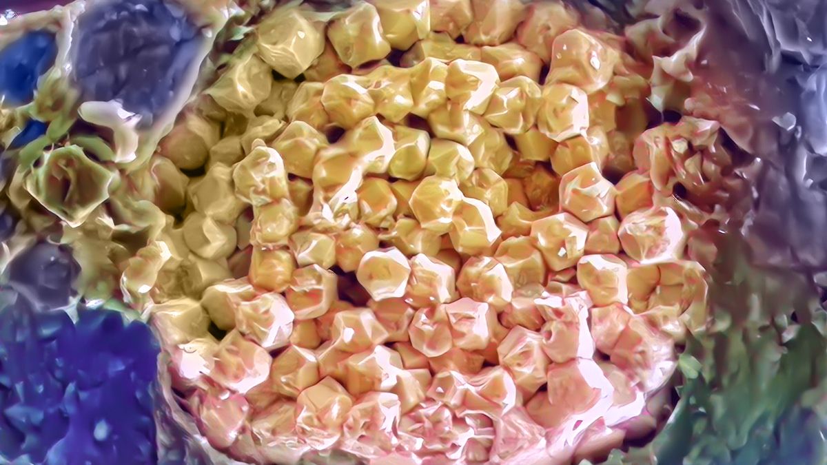 Застрявшая в минералах древняя вода раскрывает тайны климата миллионы лет назад - Техно Застрявшая в минералах древняя вода раскрывает тайны климата миллионы лет назад - Техно